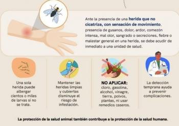 Quer&eacute;taro confirma nuevo caso de miasis humana en Cadereyta; van seis en el estado
