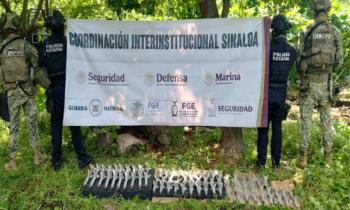 Operativos de seguridad dejan detenciones y decomisos en distintos estados del pa&iacute;s