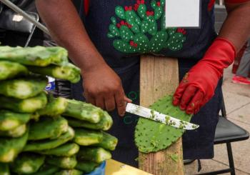 Feria del Nopal ofrecer&aacute; gastronom&iacute;a y actividades gratuitas en el Monumento a la Revoluci&oacute;n