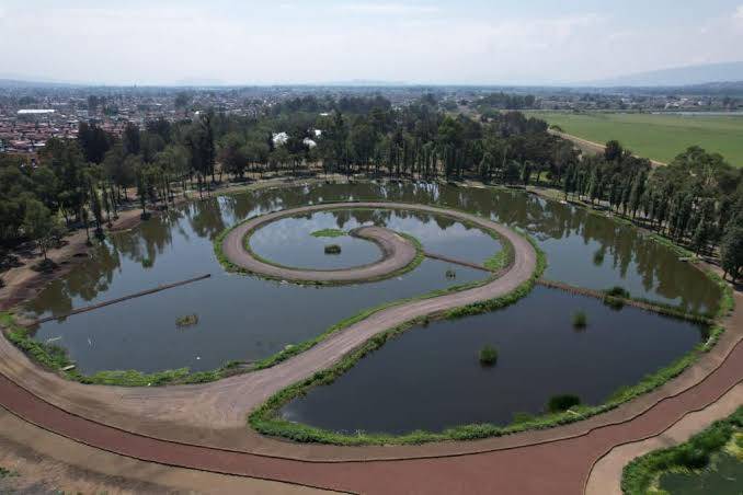 Sedema lanza licitaciones para rehabilitar el Bosque de Tláhuac