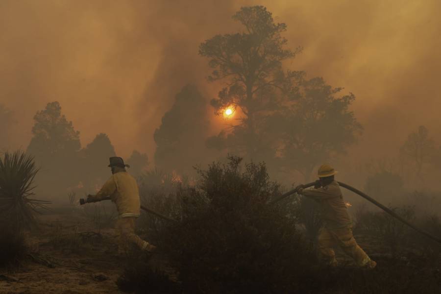 Tamaulipas registra 22 incendios forestales en la temporada, por debajo de la media nacional   