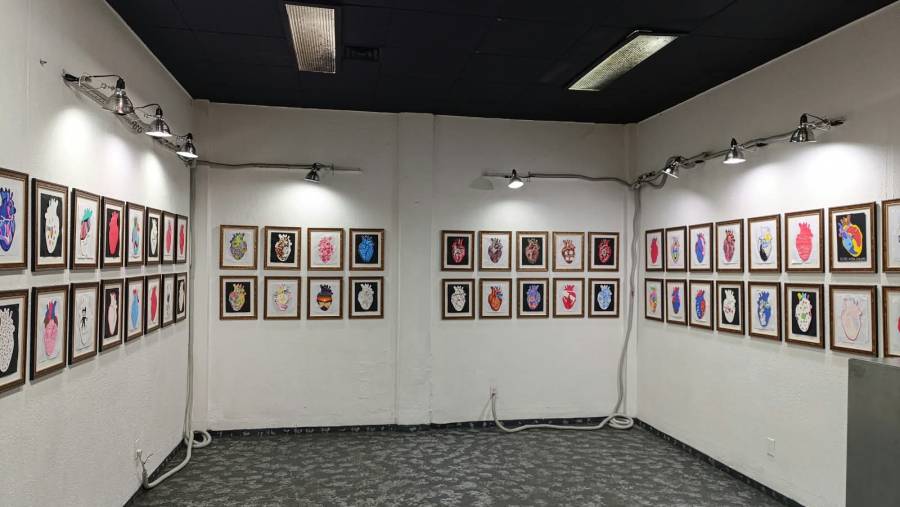 Arte y resiliencia convergen en la exposición 