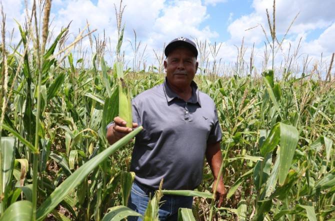 Campo de Quintana Roo crece 26.7% y se coloca en sexto lugar nacional
