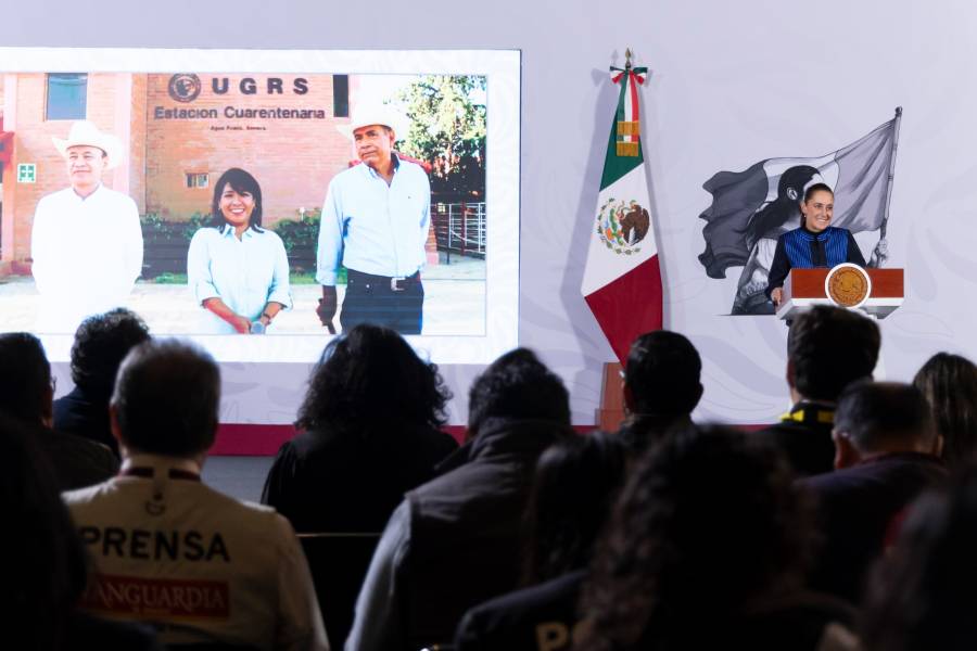 Sonora reabre exportación de ganado a Estados Unidos tras más de un año de cierre