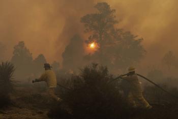 Tamaulipas registra 22 incendios forestales en la temporada, por debajo de la media nacional