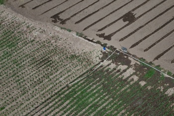 Agricultores salvadore&ntilde;os afrontan impotentes la p&eacute;rdida de cosechas por El Ni&ntilde;o