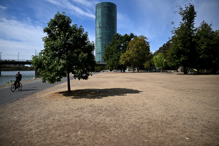 Alemania reporta una cifra récord de 15.800 muertes vinculadas al calor este verano