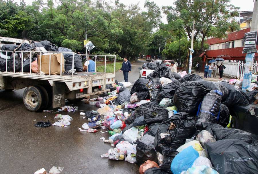 Retiran ocho toneladas de basura de una vivienda en Torreón
