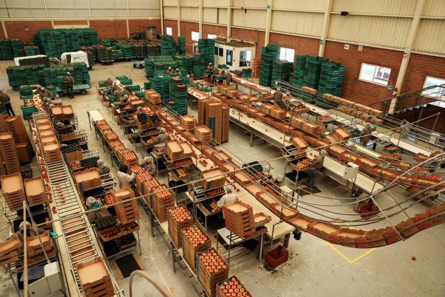 Exportaciones mexicanas alcanzan máximo histórico durante julio 