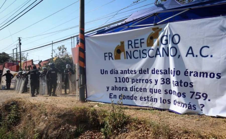 Denuncian a titular de Medio Ambiente de CDMX por condiciones en refugios de animales