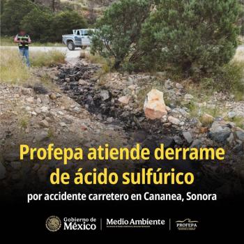 Derrame de &aacute;cido sulf&uacute;rico en carretera de Sonora provoca emergencia ambiental