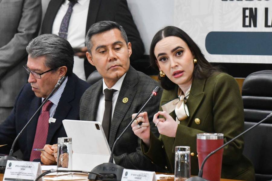 PAN y PRI solicitan revisar gestión de Carlos Ulloa al frente de Birmex