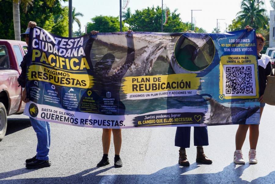 Protestan en Cancún por delfines retenidos en instalaciones de Ventura Park