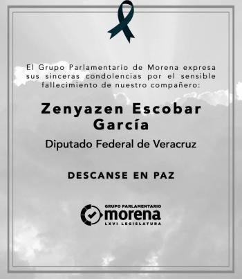 Morena lamenta fallecimiento del diputado federal veracruzano Zenyazen Escobar Garc&iacute;a