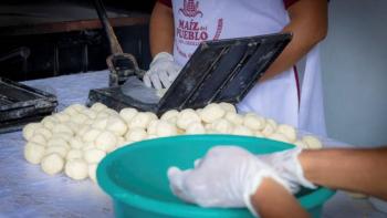 Sembrando Vida abre nuevos canales de comercializaci&oacute;n para el ma&iacute;z criollo en Veracruz
