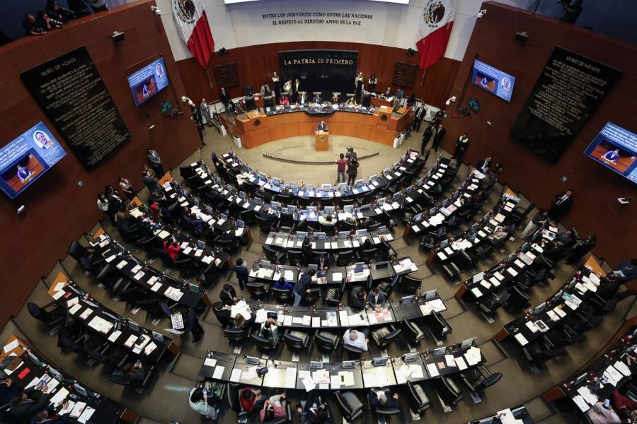 Laura Estrada plantea nuevas restricciones para candidaturas al Senado por doble nacionalidad