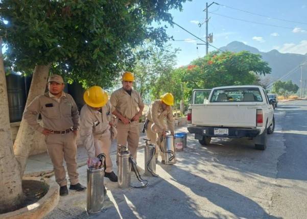 Brigadas fumigan 1,544 hect&aacute;reas para contener el dengue