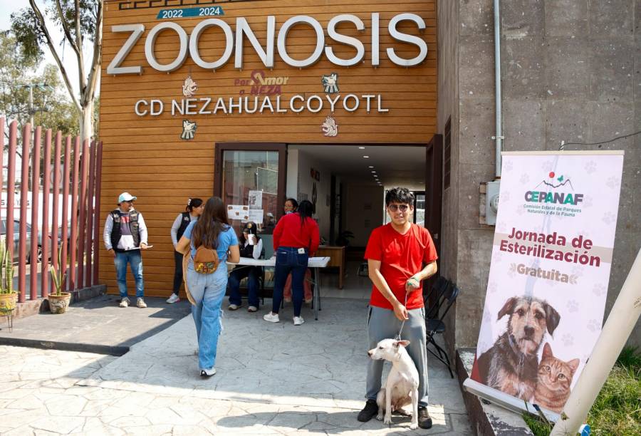 Nezahualcóyotl realizará Feria de los Seres Sintientes con servicios gratuitos para perros y gatos