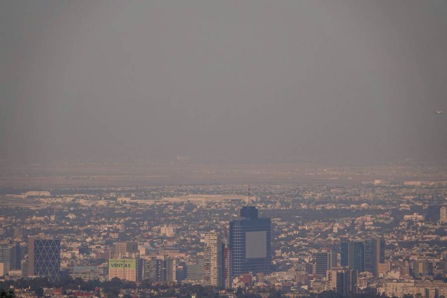 Doble Hoy No Circula se aplica este domingo 13 de septiembre en CDMX y Edomex 