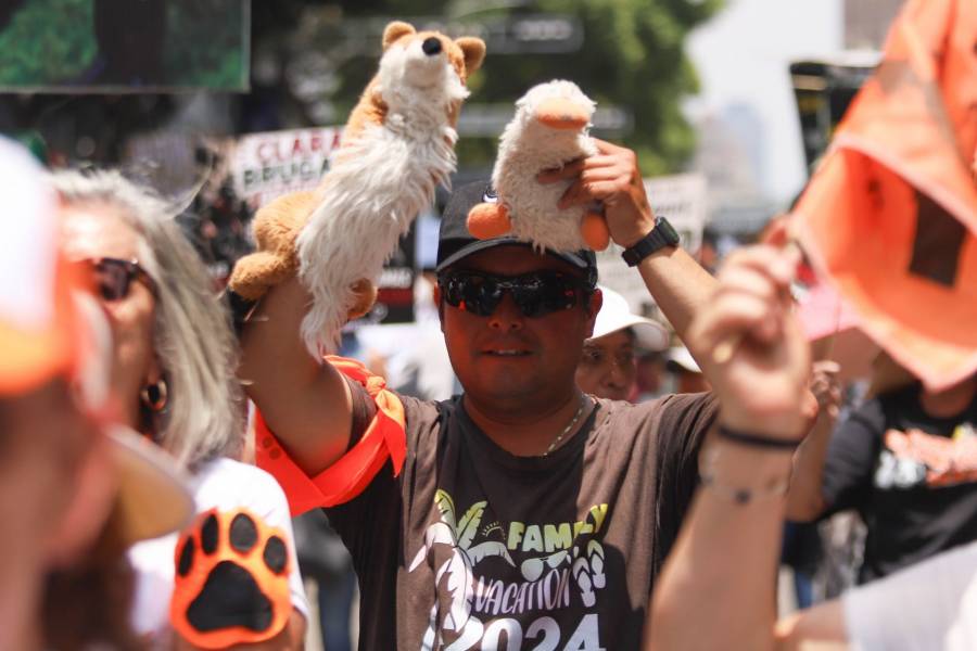 Impulsa Clara Brugada Adopción Responsable de animales rescatados; inicia proceso con plataforma digital  