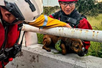 Rescatan a joven arrastrado por corriente en Loma Bonita