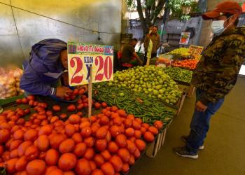 Producci&oacute;n de chile, jitomate y cebolla garantiza abasto en fiestas patrias