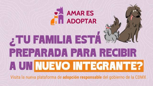 Inicia proceso de adopción responsable tras acuerdo con Refugio Franciscano    
