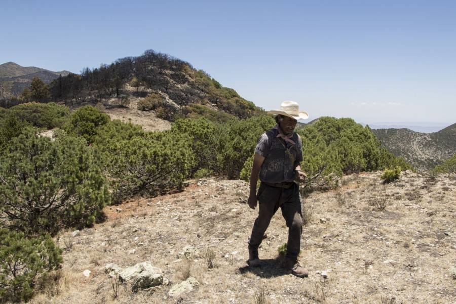 Protecci&oacute;n Civil recomienda extremar precauciones por lluvias y vientos en varias regiones