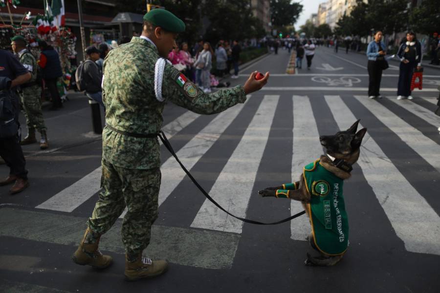 Binomios caninos del Ejército Mexicano reciben ovación en desfile de Independencia