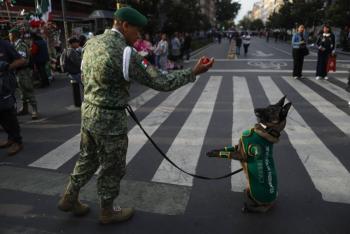 Binomios caninos del Ej&eacute;rcito Mexicano reciben ovaci&oacute;n en desfile de Independencia