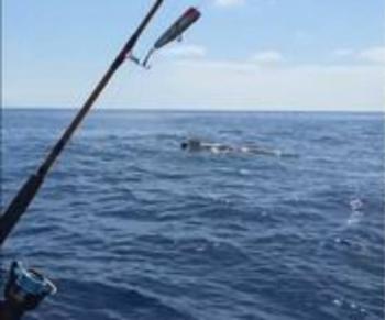 Marina recupera proyectil de entrenamiento localizado frente a Ensenada
