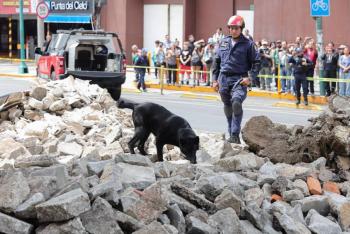 A 41  del sismo de 1985, persiste el reto de evaluar edificios antiguos en Ciudad de M&eacute;xico