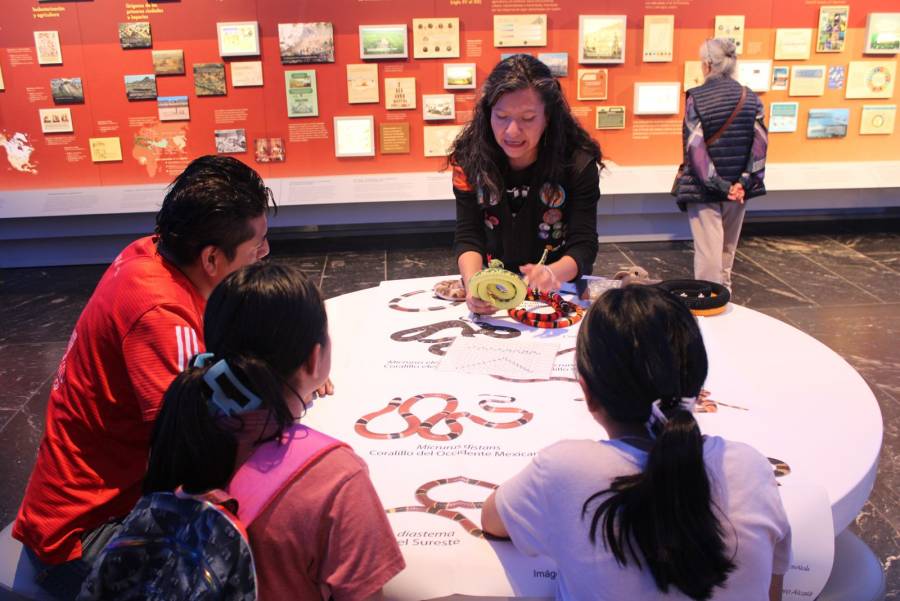 Sedema pone la biodiversidad y el consumo responsable en el centro de la programación del Museo de Historia Natural y Cultura Ambiental 