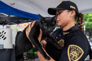 Jornada de adopci&oacute;n re&uacute;ne a 12 perros y gatos en la Glorieta de Insurgentes