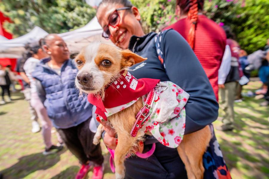 Tlalpan ampliará atención veterinaria gratuita con nueva clínica pública en Villa Coapa