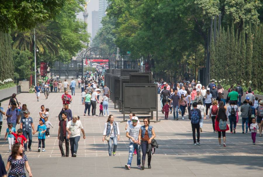 Aumenta la población soltera mientras disminuye la fecundidad en la CDMX 