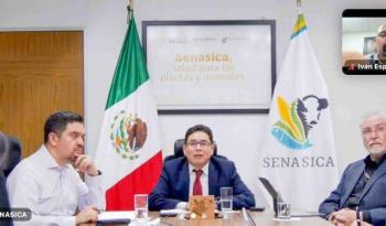 Apoya Agricultura al establecimiento TIF afectado por hurac&aacute;n Polo en Sonora