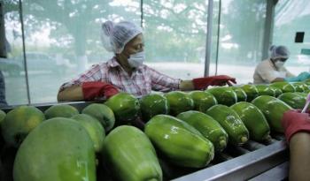 Certifica Agricultura a casi 6 mil unidades productivas en inocuidad alimentaria