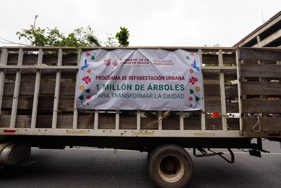 Gobierno de la Ciudad de México arranca reforestación del Centro Histórico con meta de mil árboles