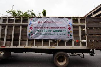 Gobierno de la Ciudad de M&eacute;xico arranca reforestaci&oacute;n del Centro Hist&oacute;rico con meta de mil &aacute;rboles