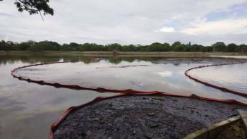 Oceana acusa omisi&oacute;n de Semarnat ante derrame de Pemex en el Golfo de M&eacute;xico y exige respuestas sobre da&ntilde;os ambientales