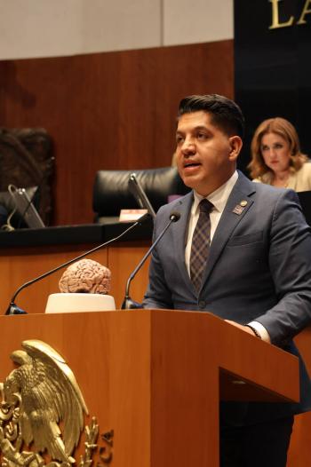Emmanuel Reyes Carmona plantea reforzar la seguridad en plataformas digitales