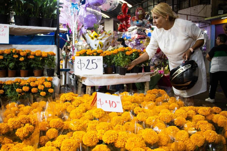 Productores de Xochimilco y Tláhuac cultivan 10 millones de flores de cempasúchil para el Día de Muertos 2026