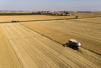 Una cultivadora de arroz italiana apuesta por la biodiversidad para combatir el calor