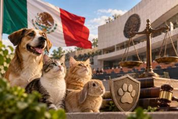 Meacutexico busca homologar la proteccioacuten animal con una nueva Ley de Bienestar
