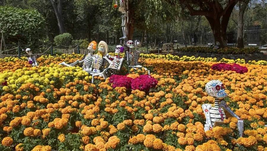 Chapultepec alista “Sendero del Cempasúchil”, un festival de Día de Muertos con drones, música y actividades culturales