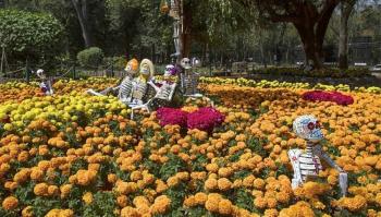 Chapultepec alista Sendero del Cempasuacutechil un festival de Diacutea de Muertos con drones muacutesica y actividades culturales