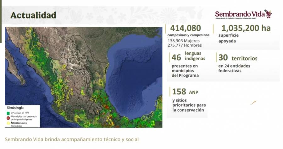 Meta de Sembrando Vida: Beneficiar a 450 mil campesinos y plantar mil 500 millones de árboles