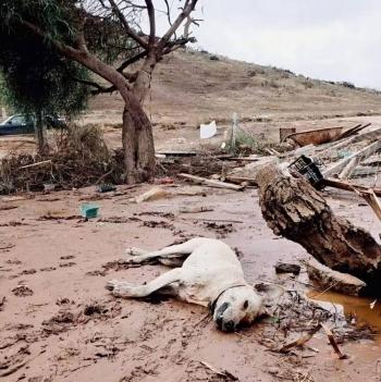 Sheinbaum alista apoyos para Ensenada y Tijuana tras tormenta