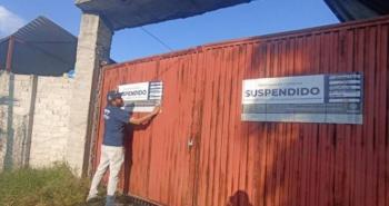 Rescatan a 28 perros de pensi&oacute;n con irregularidades en Juriquilla